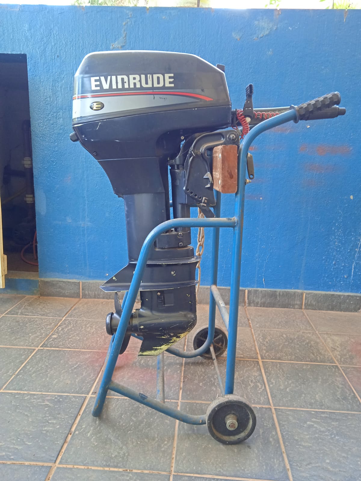 Motor Evinrude 15 HP usado